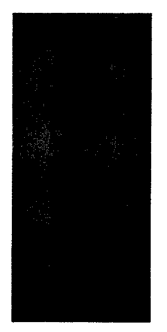 Preparation method for 3-(5-methoxy-1,5-dioxopenyl)-(4S)-phenyloxazolidin-2-one