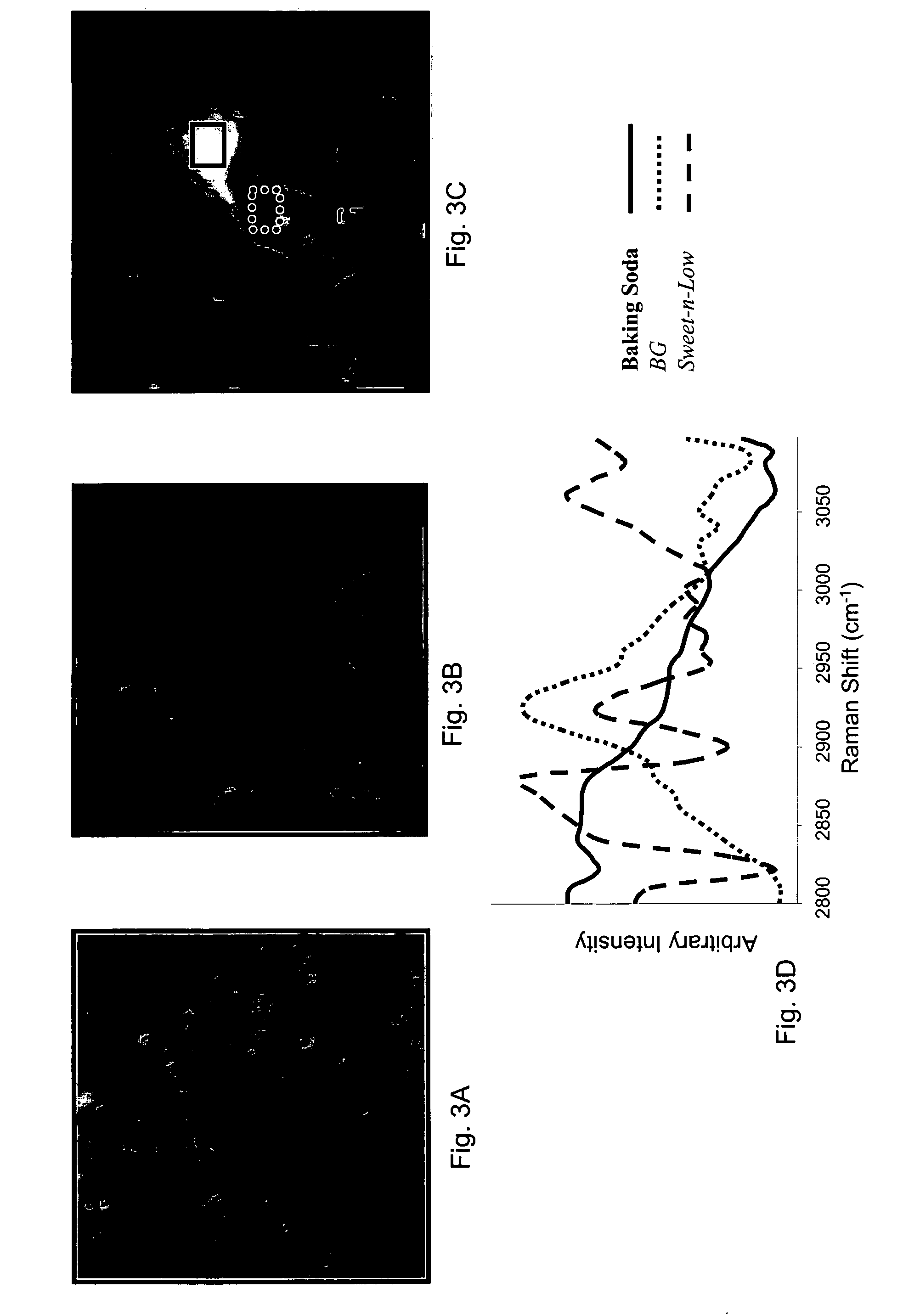 Raman spectral analysis of pathogens