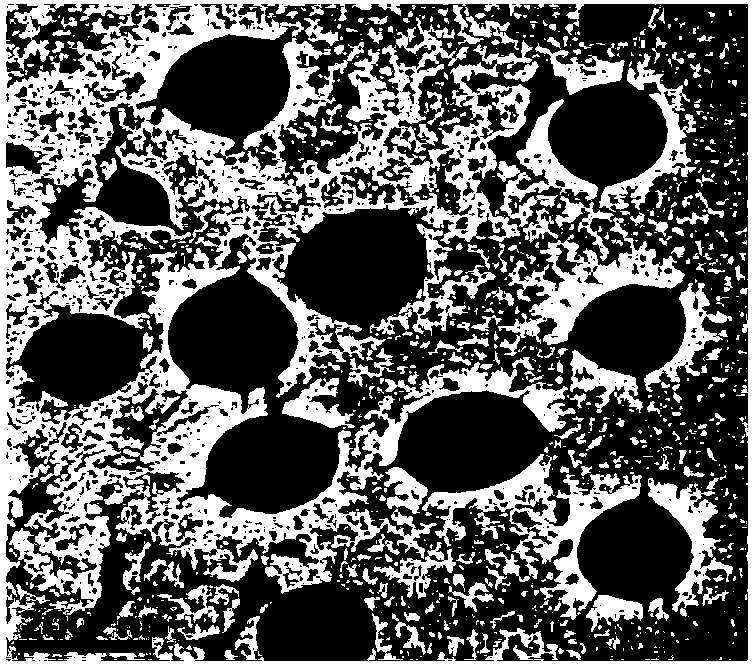 Ultra-high temperature-resistant water-based drilling fluid