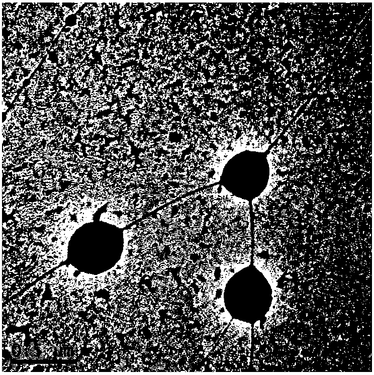 Ultra-high temperature-resistant water-based drilling fluid