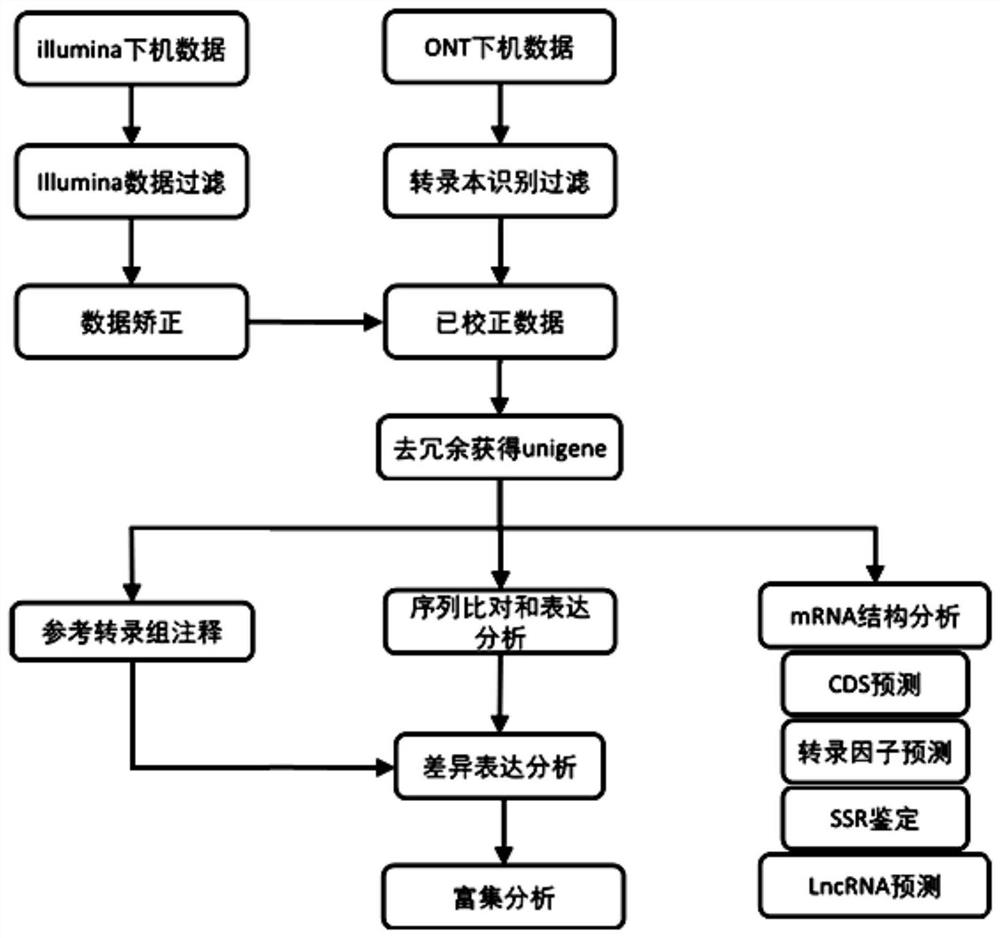 Transcriptome analysis method and system without reference genome sequence