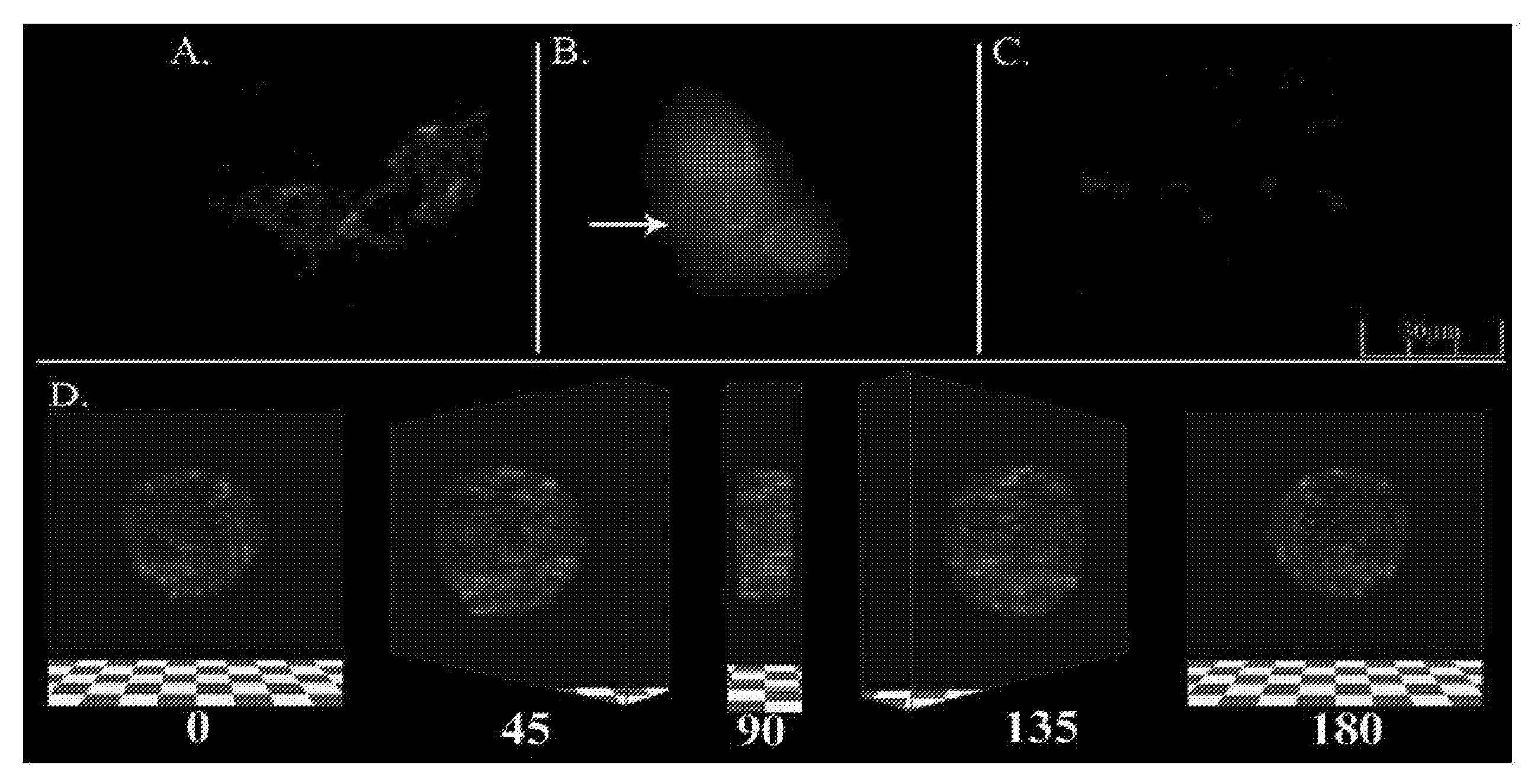 Compositions and methods for inhibition of mmp:mmp-substrate interactions