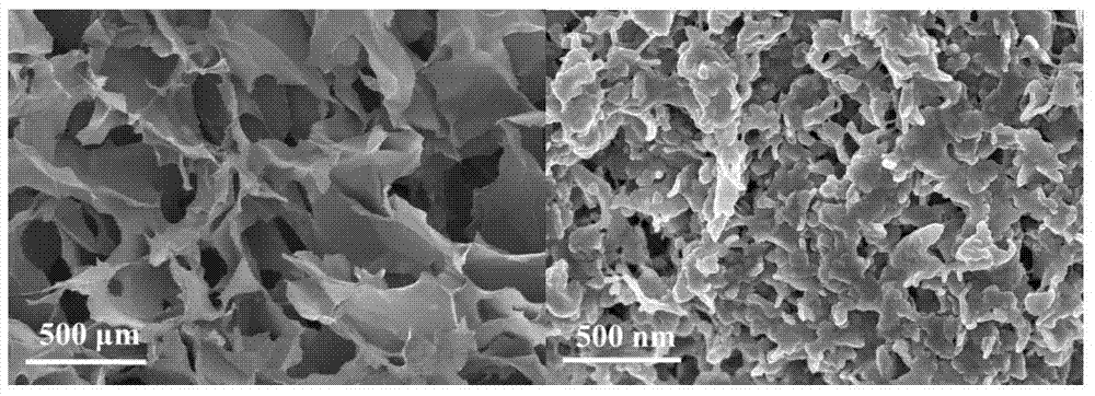 Adsorption photocatalytic hydrogel material and application thereof in synergistic photocatalytic sewage hydrogen generation capable of reversing heavy metal pollution