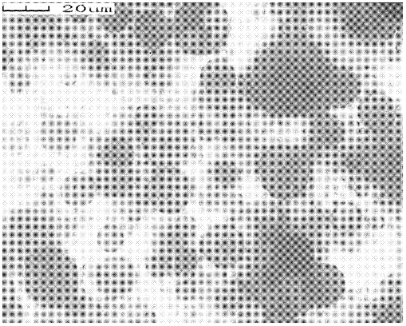 Fluorine-containing amphiphilic polymer viscosity reducer for crude oil and preparation method thereof