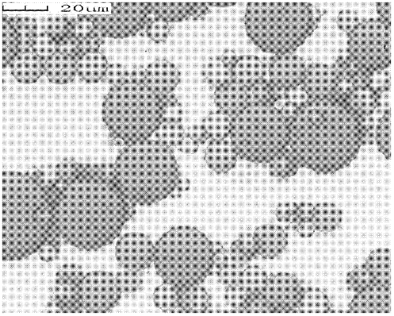 Fluorine-containing amphiphilic polymer viscosity reducer for crude oil and preparation method thereof