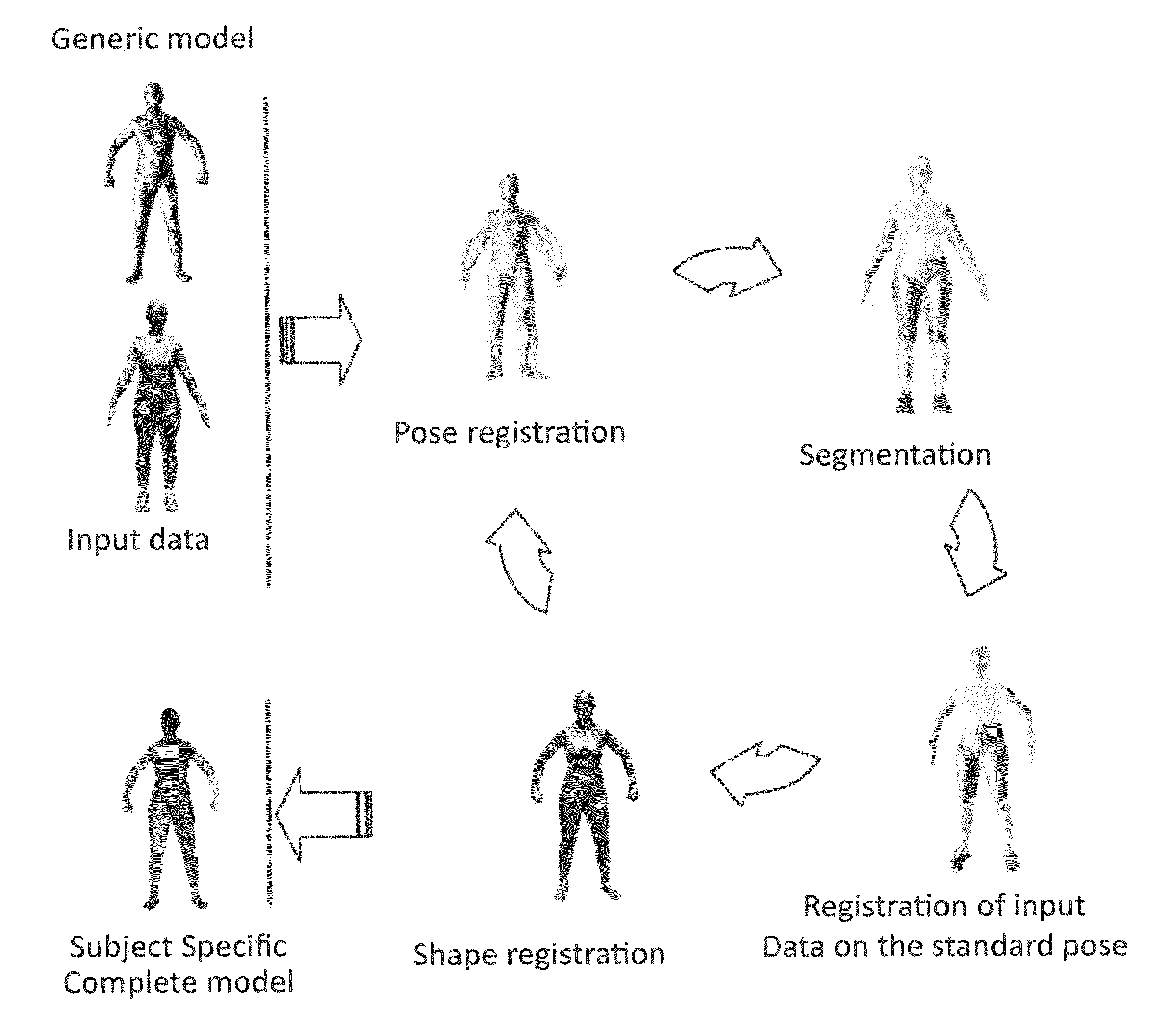 Automatic generation of human models for motion capture, biomechanics and animation