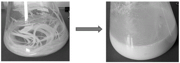 Processing and treating method of feathers