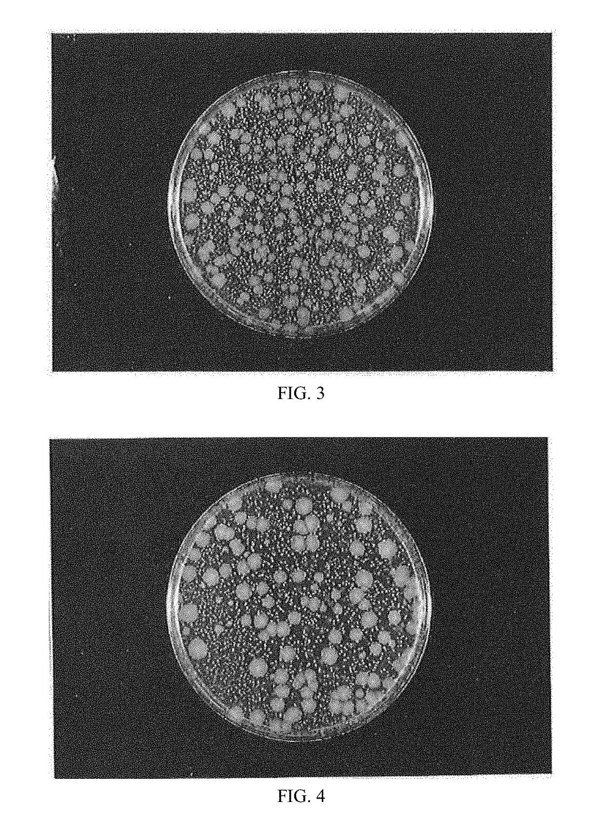 Antibacterial product and method of manufacturing the same