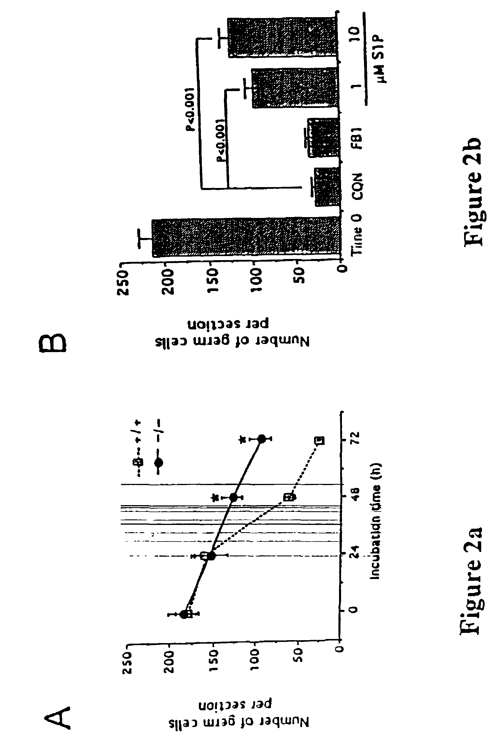 Protection of the female reproductive system from natural and artificial insults