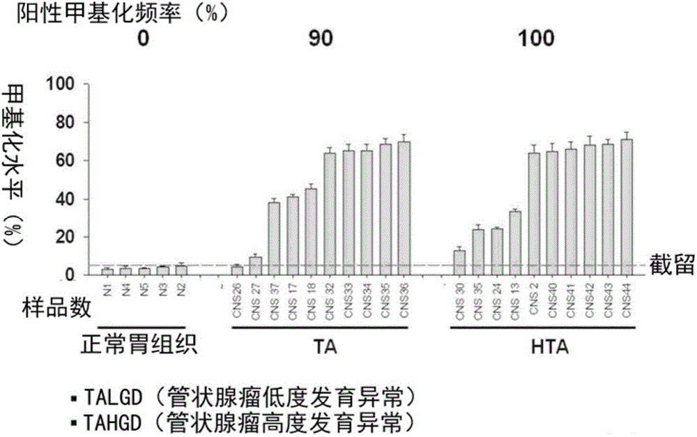 Method for detecting gastric polyp and gastric cancer using marker gene of gastric polyp and gastric cancer-specific methylation