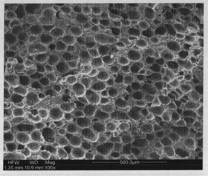 Injection microcellular foamed wood-plastic composite material and preparation method thereof