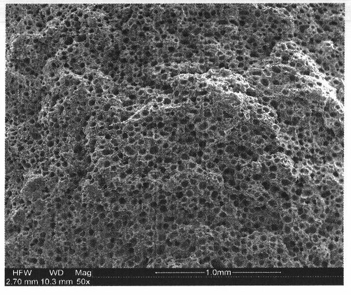 Injection microcellular foamed wood-plastic composite material and preparation method thereof