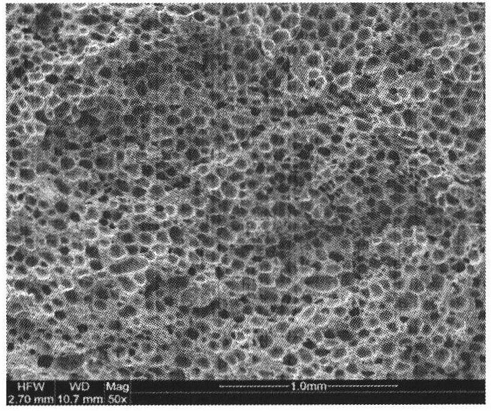 Injection microcellular foamed wood-plastic composite material and preparation method thereof