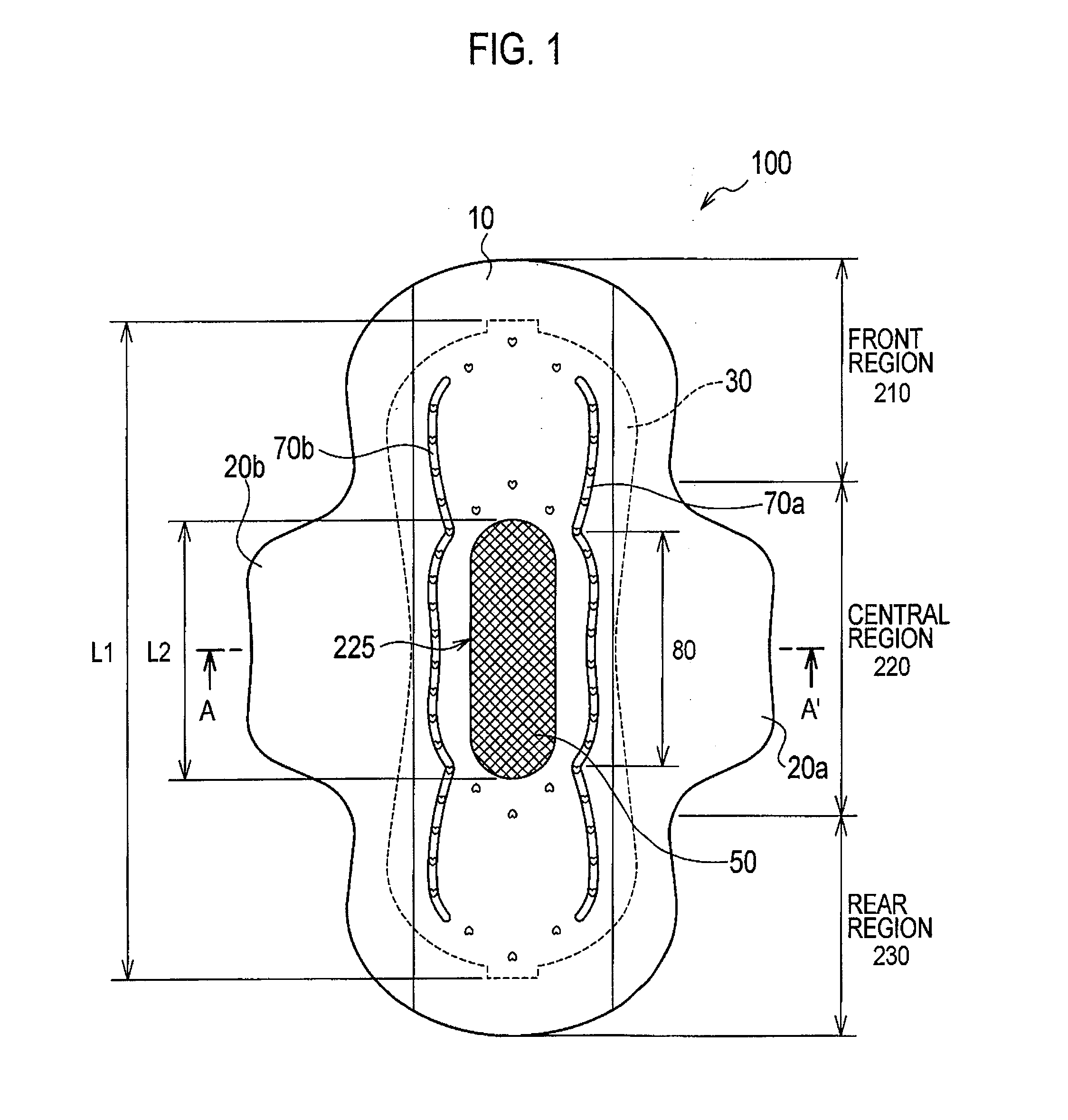 Absorbent article and sanitary napkin