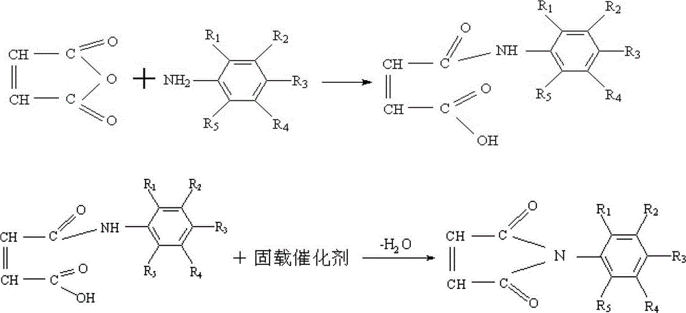 Immobilized type non-toxic catalyst and method for synthesizing N-phenylmaleimide and N-substitutional phenylmaleimide