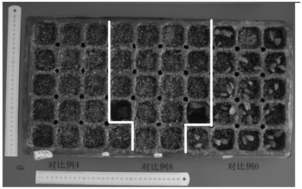 A pretreatment method for promoting seedling formation of Polygonatum multiflora