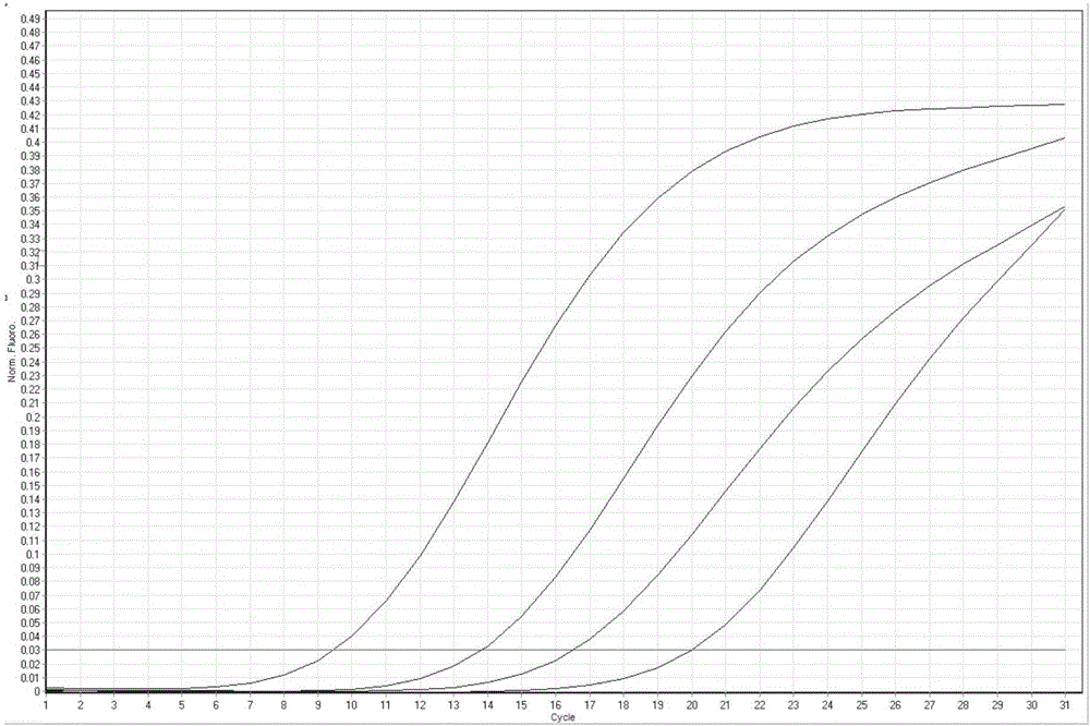 Composition and kit for detecting c-MET gene exon 14 skip mutation