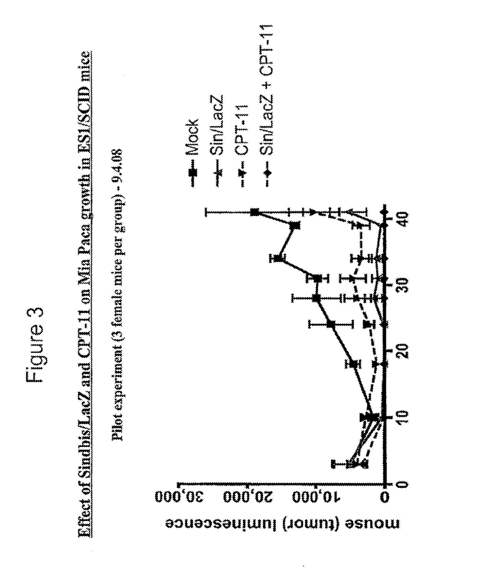 Tumor Therapy With Antitumor Agents In Combination With Sindbis Virus-Based Vectors