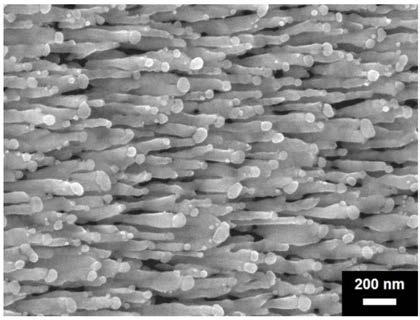 Surface-enhanced Raman substrate and preparation method thereof