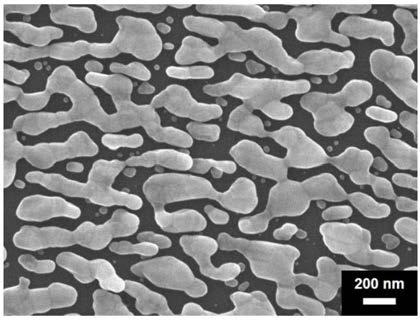 Surface-enhanced Raman substrate and preparation method thereof