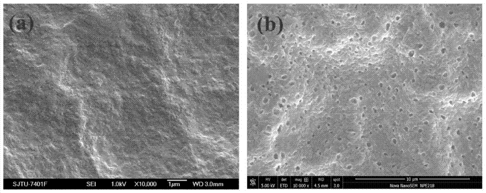 Preparation method of semi-interpenetrating network polymer gel electrolyte membrane