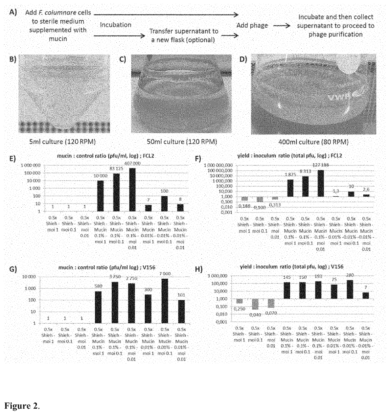 Improved methods and culture media for production, quantification and isolation of bacteriophages