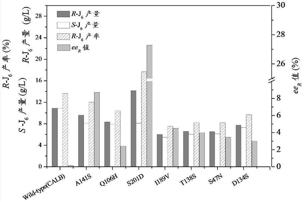 CALB mutant used for preparing (R)-3-substituted monoalkyl glutarate compound through non-aqueous catalysis