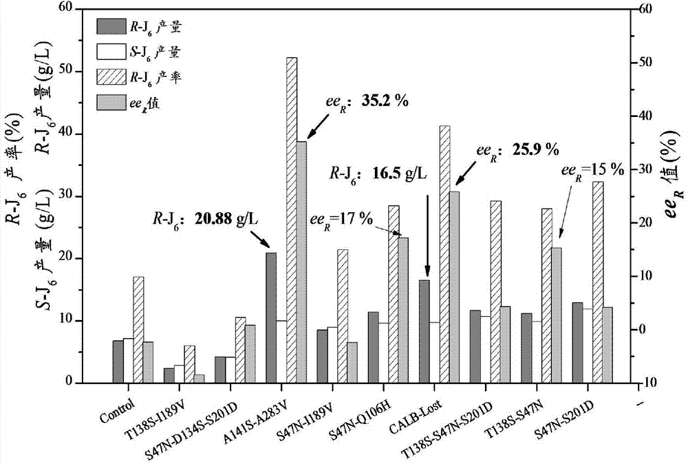 CALB mutant used for preparing (R)-3-substituted monoalkyl glutarate compound through non-aqueous catalysis