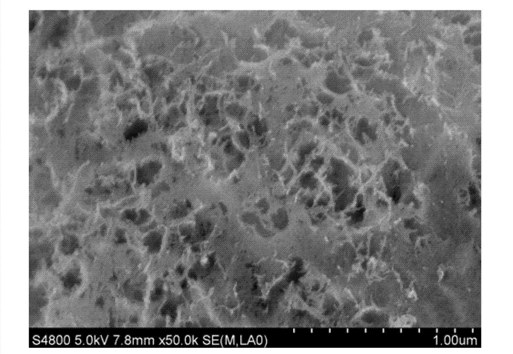 Gamma-alumina particles and method for manufacturing same