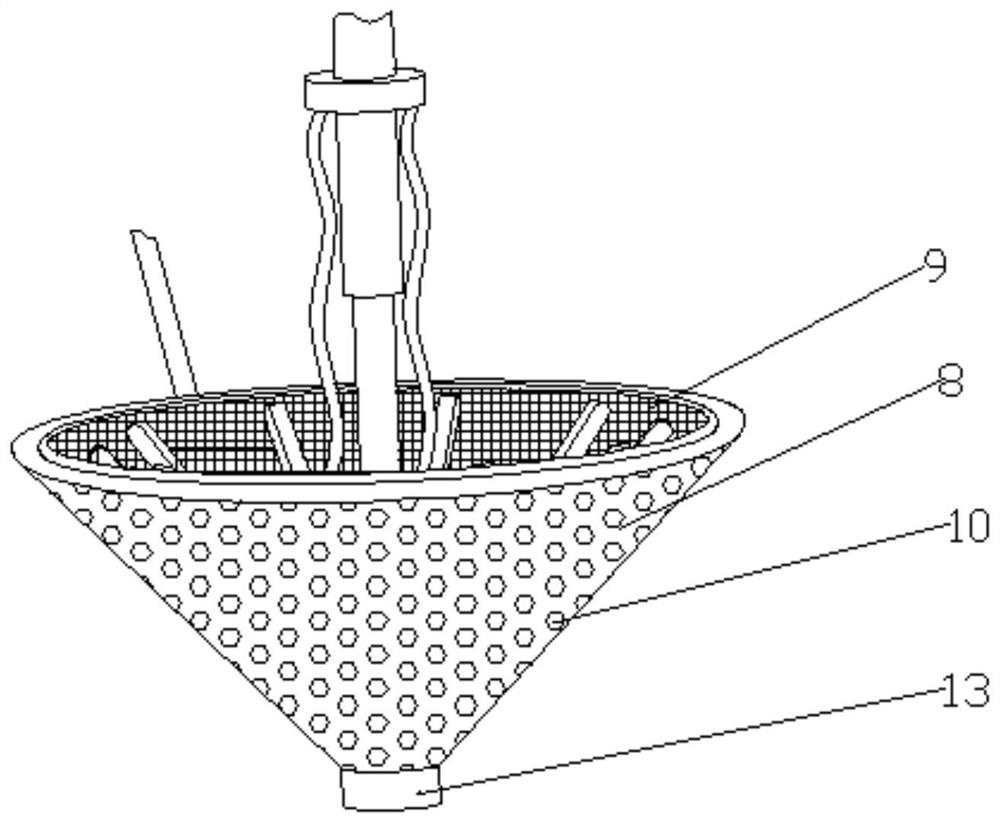 Traditional Chinese medicine decoction piece cleaning device