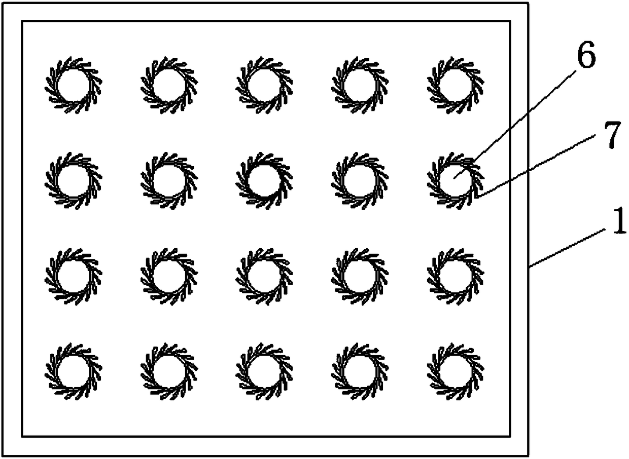 Friction type potato washing device for agricultural production