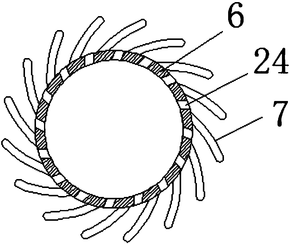 Friction type potato washing device for agricultural production