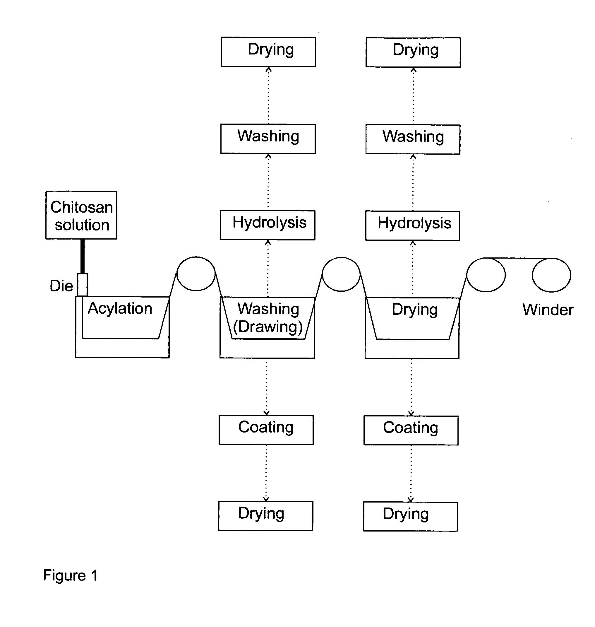 Processing of Chitosan and Chitosan Derivatives