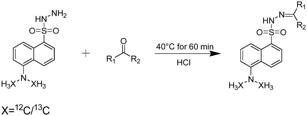 Carbonyl metabolite derivatization method and non-targeted metabonomics efficient analysis method