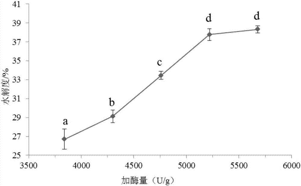 Processing method for preparing pinctada martensii meat seasoning base material by use of strain fermentation