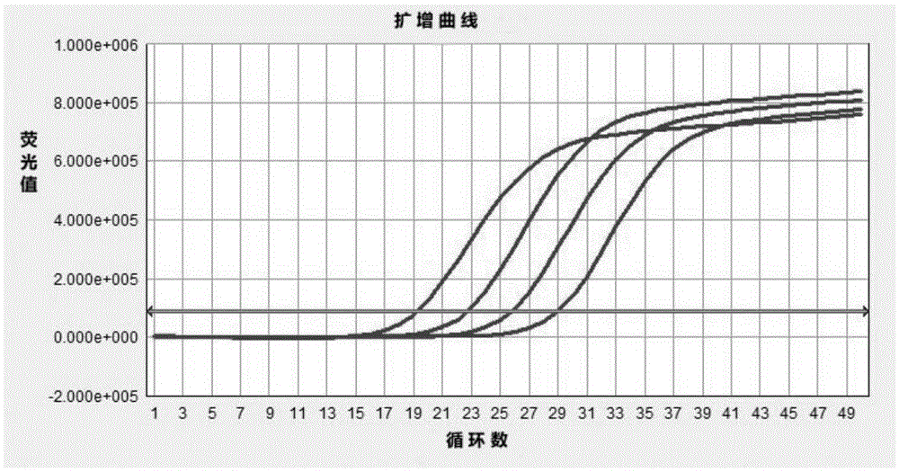 Enterovirus real-time fluorescent quantitative detection kit