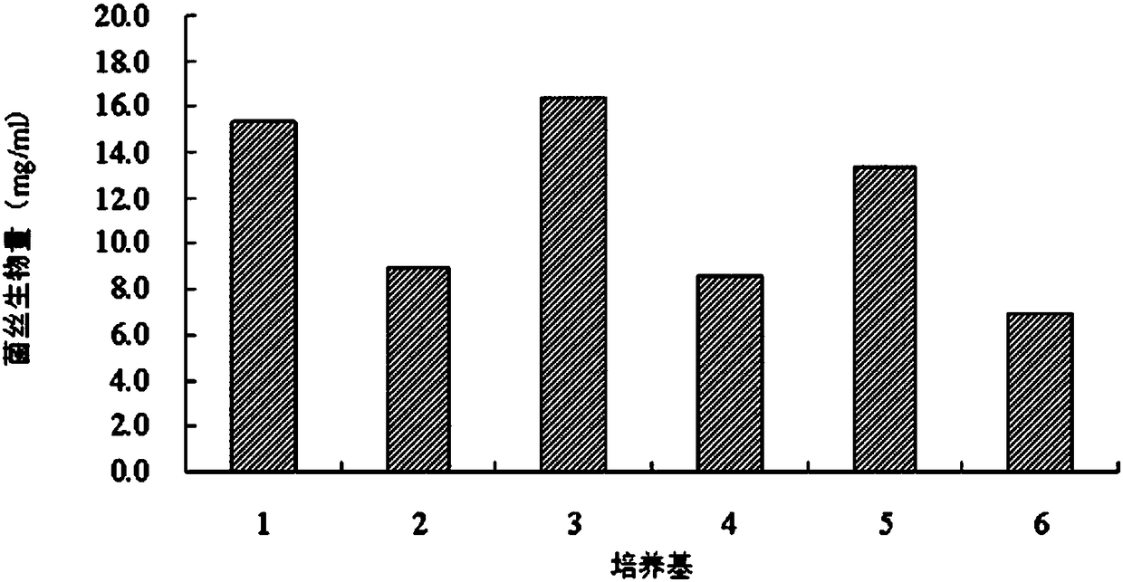 Isaria fumosorosea IF-1106 bacterial strain liquid fermentation optimizing process