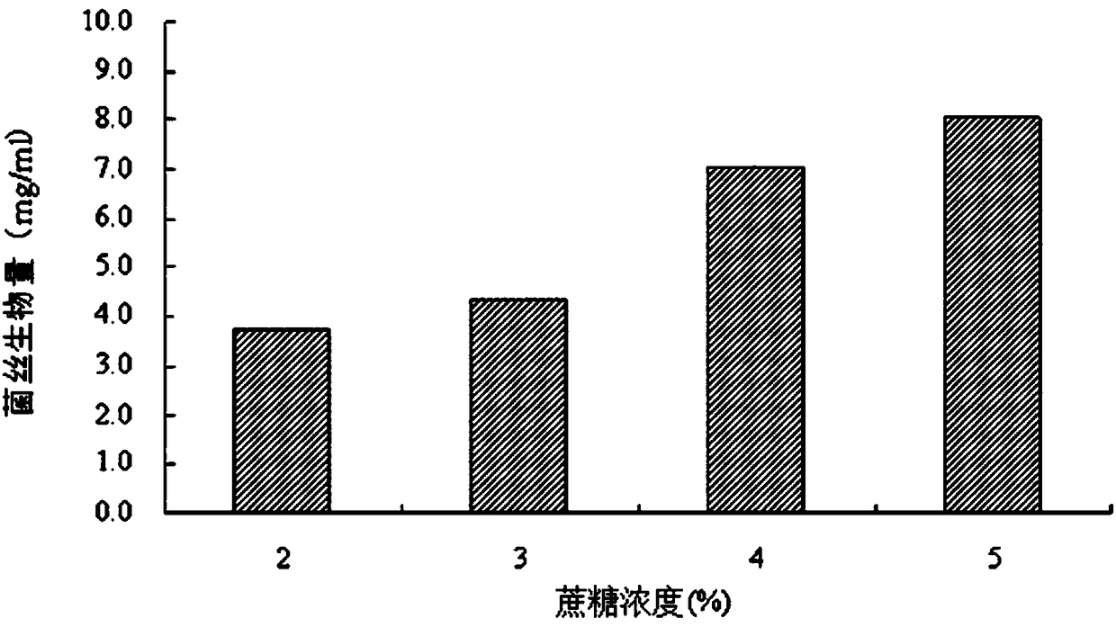 Isaria fumosorosea IF-1106 bacterial strain liquid fermentation optimizing process