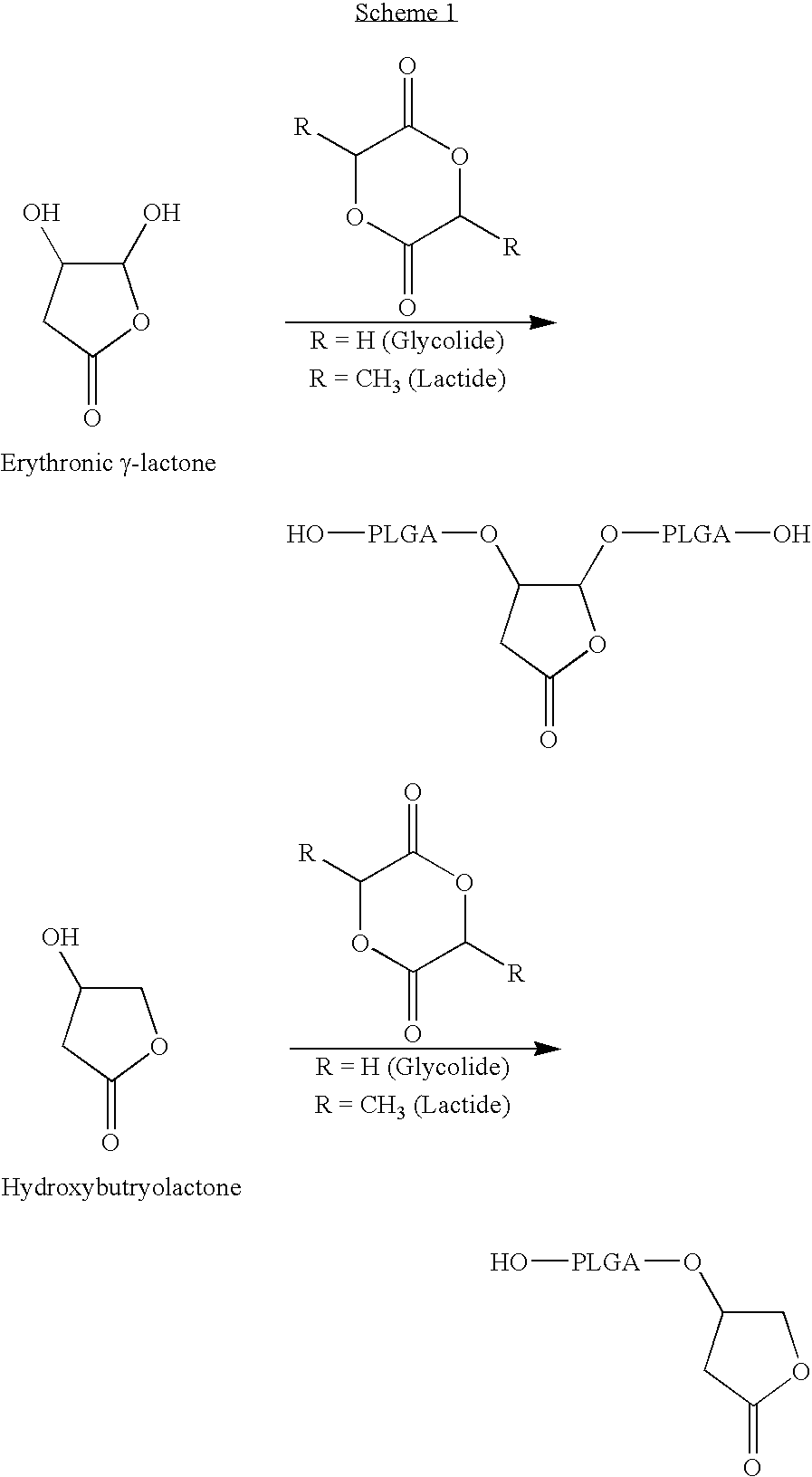 Lactone bearing absorbable polymers