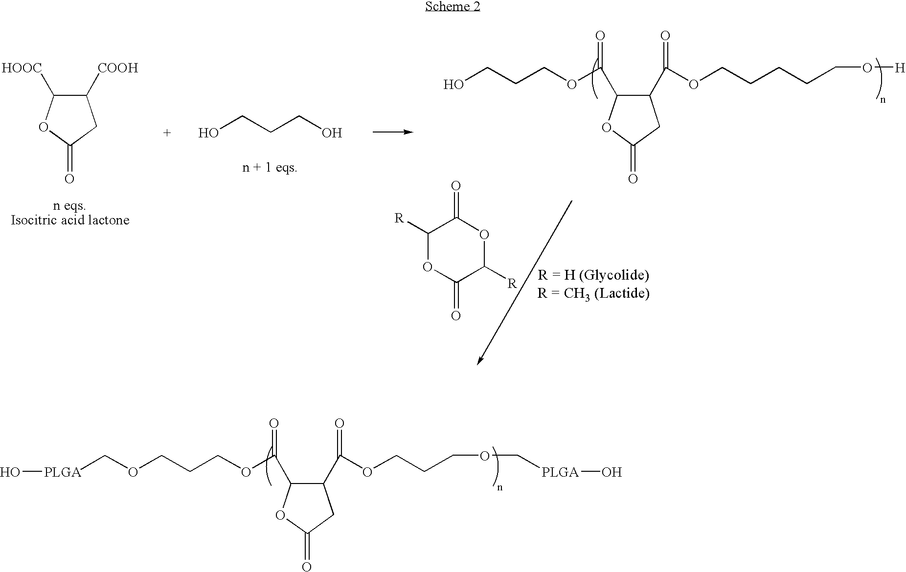 Lactone bearing absorbable polymers