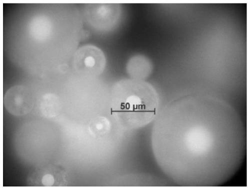 Amorphous polyaryletherketone/sulfone powder for laser sintering 3D printing and preparation method of amorphous polyaryletherketone/sulfone powder