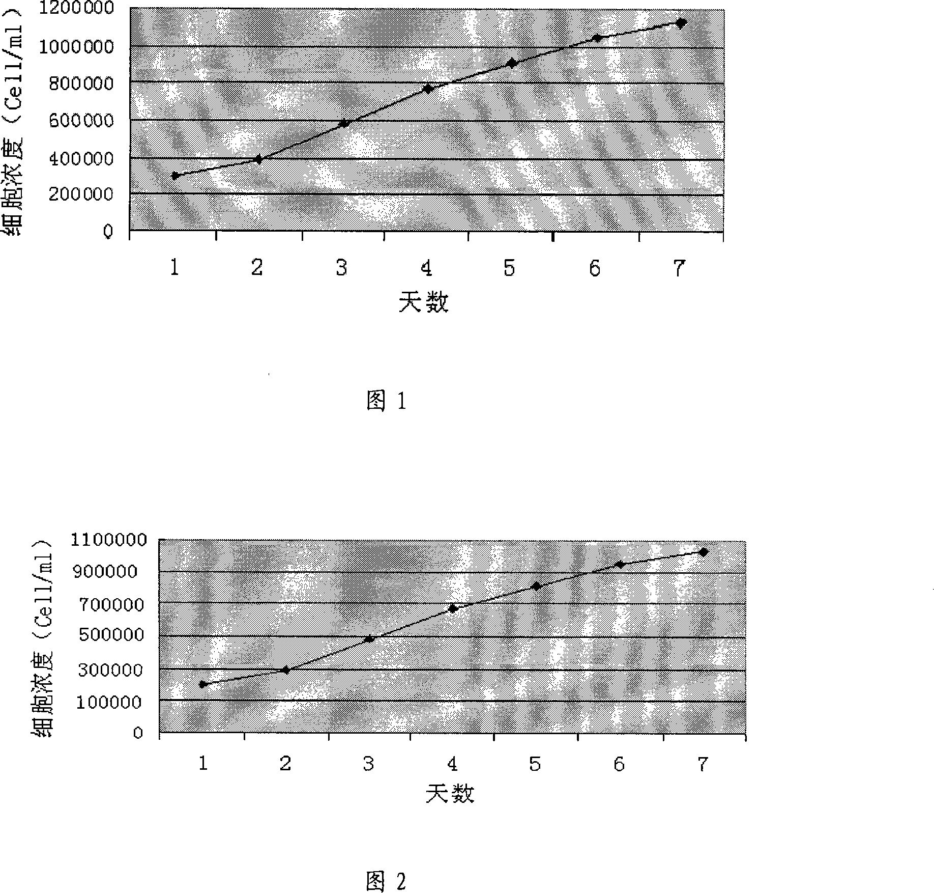 Human embryo kidney 293 cell amplifying protein-free medium