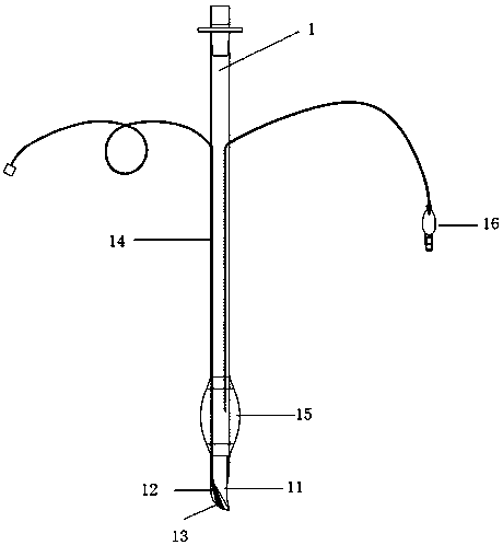 Visible side-guided tracheal tube member