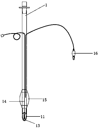 Visible side-guided tracheal tube member