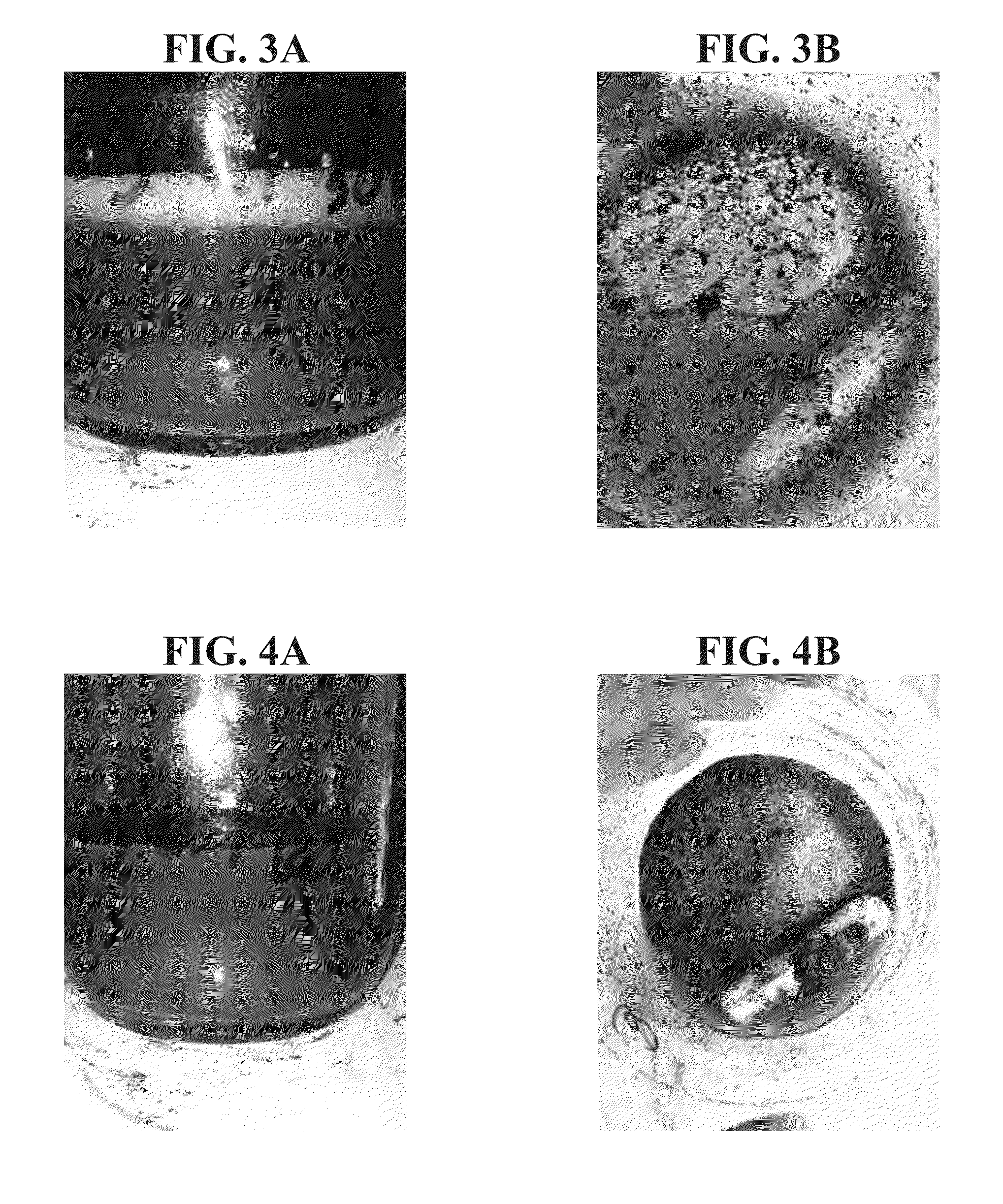 Plant-based compositions and uses thereof