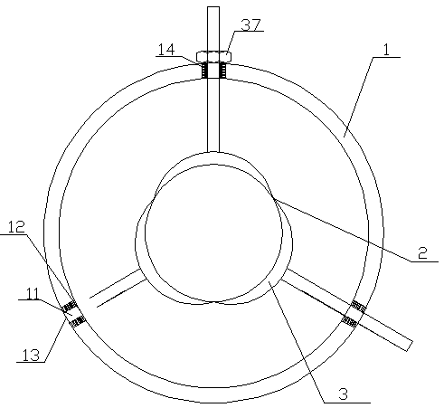 Special processor for stem surface of angelica keiskei koidzumi