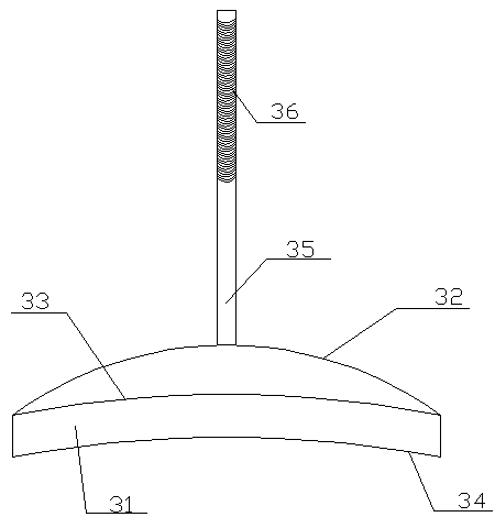 Special processor for stem surface of angelica keiskei koidzumi