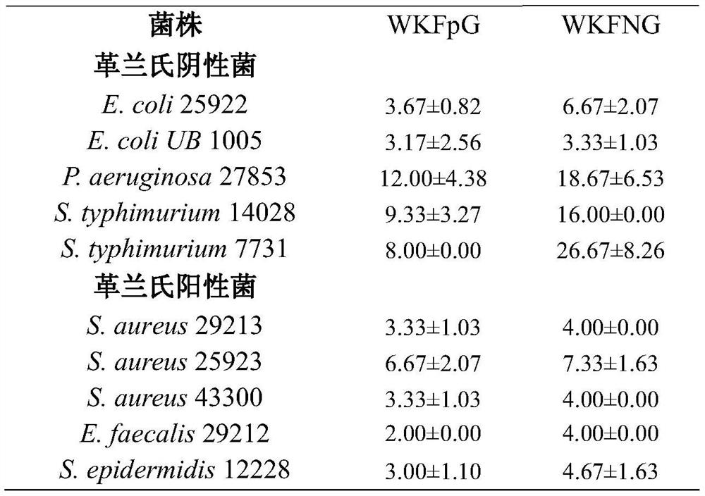 Beta hairpin antimicrobial peptide containing d-type proline and glycine turn angle and preparation method thereof