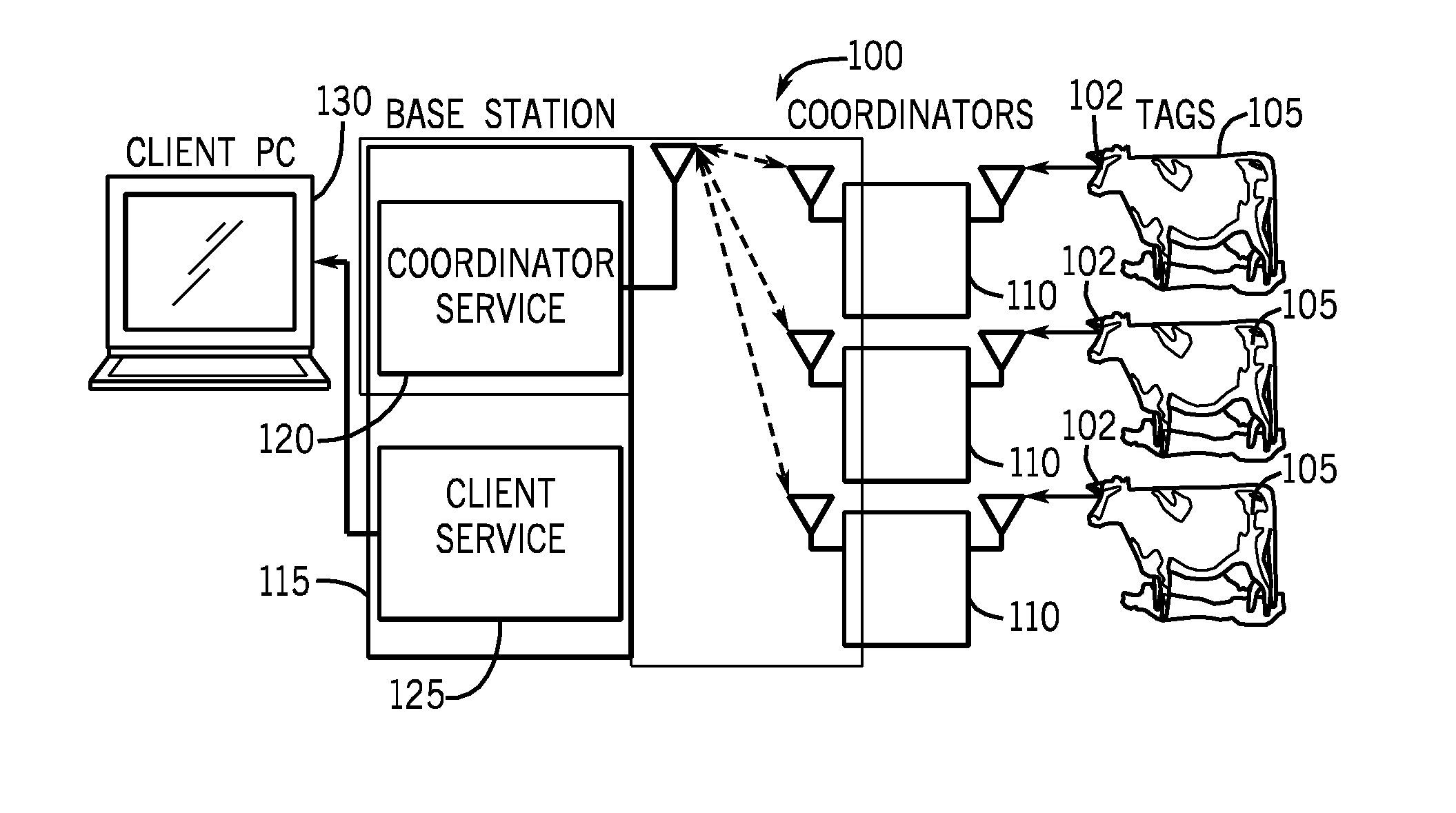 Remote monitoring systems