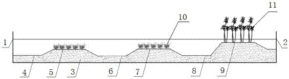 Nitrification, denitrification and denitrification natural advection ecosystem and construction method for rivers or ponds